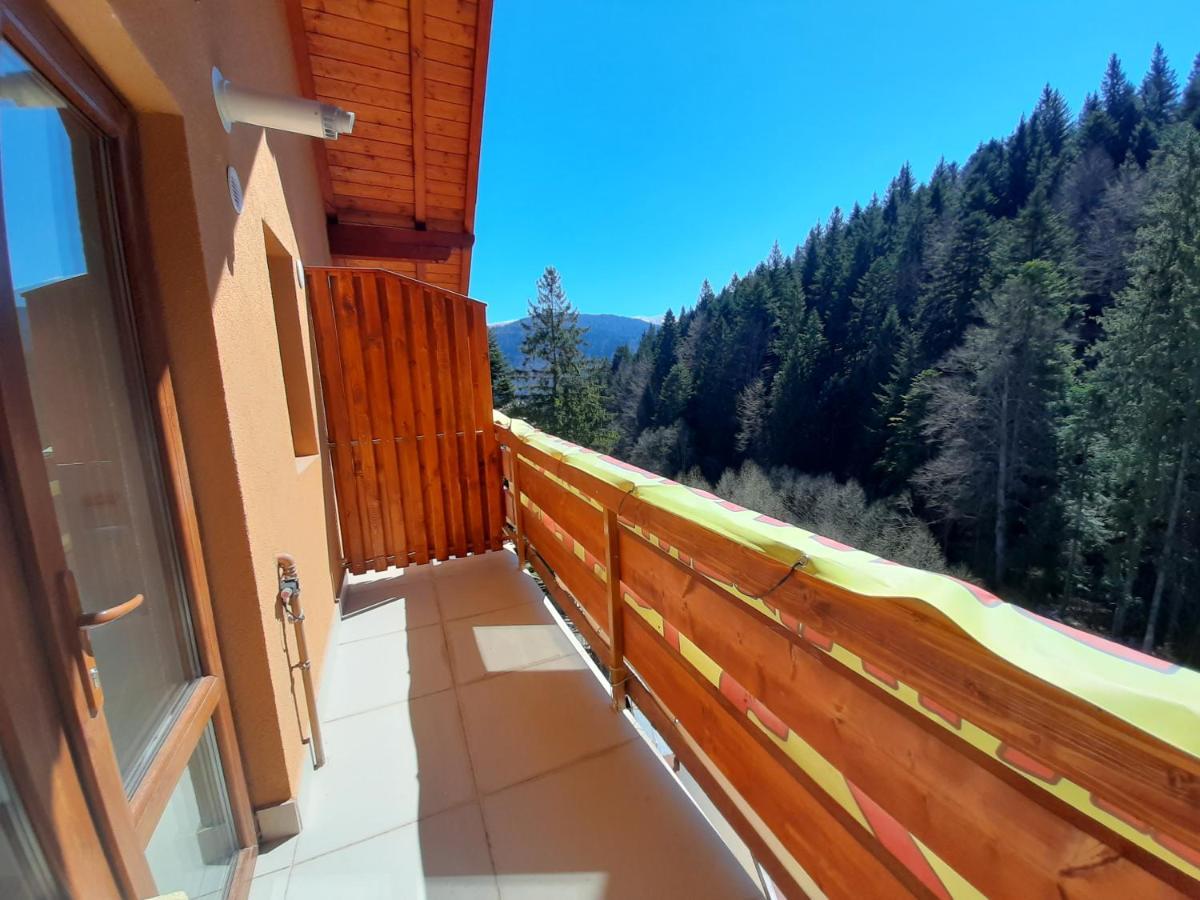 Kalinderu Skier'S Apartament Bellevue Busteni Luaran gambar