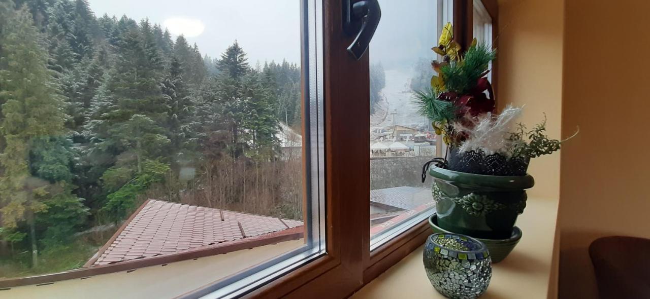 Kalinderu Skier'S Apartament Bellevue Busteni Luaran gambar
