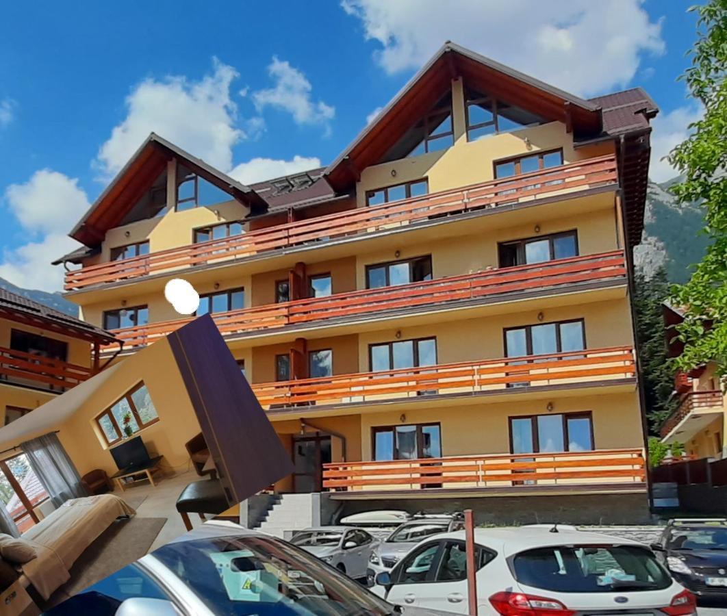 Kalinderu Skier'S Apartament Bellevue Busteni Luaran gambar