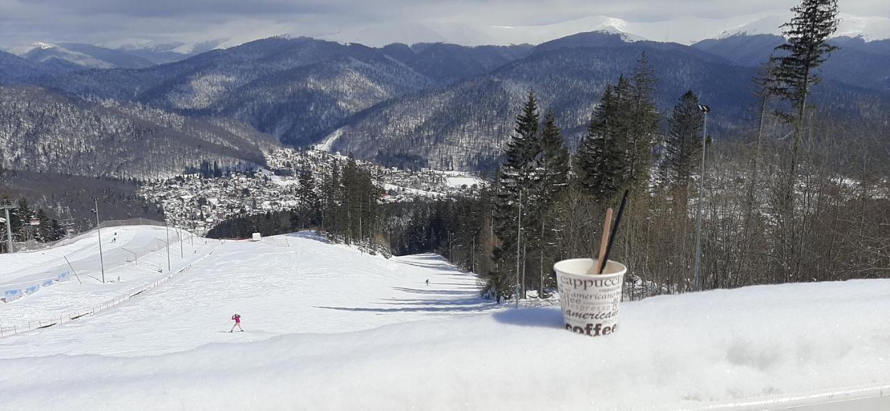 Kalinderu Skier'S Apartament Bellevue Busteni Luaran gambar