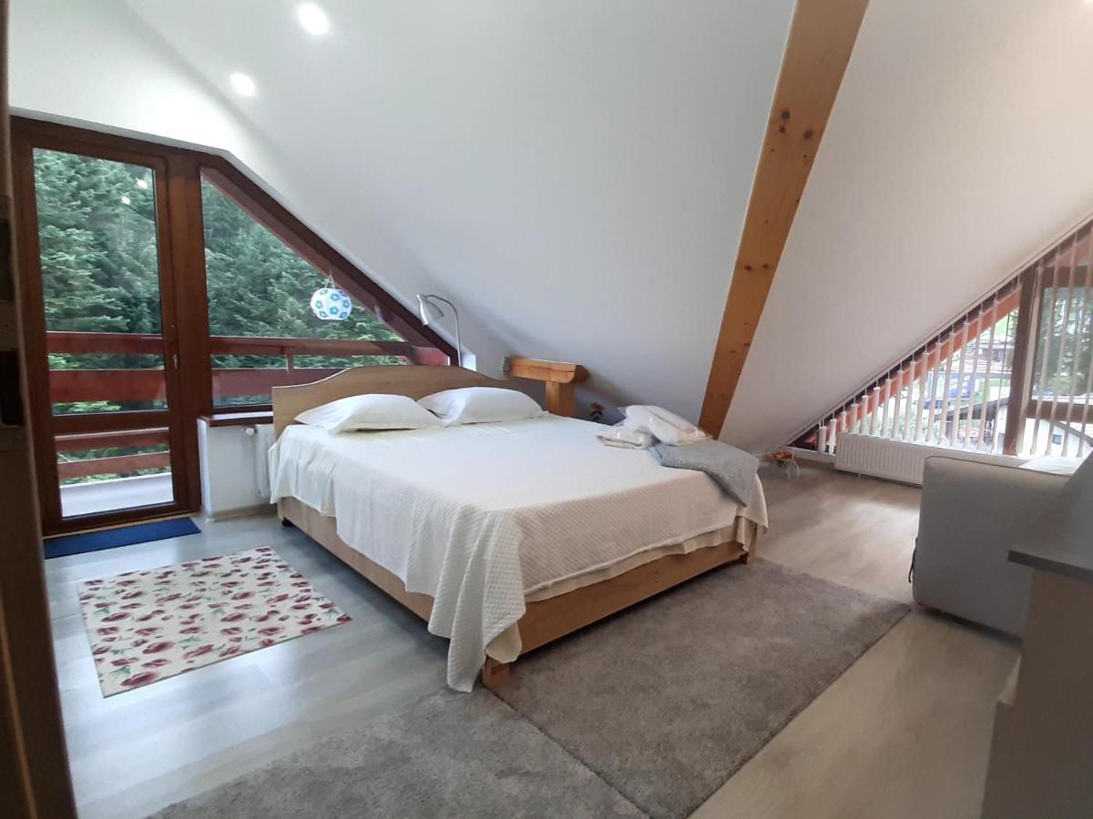 Kalinderu Skier'S Apartament Bellevue Busteni Luaran gambar