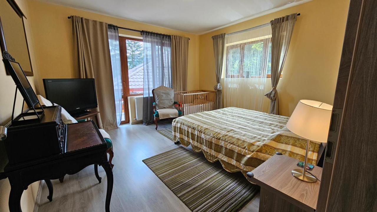 Kalinderu Skier'S Apartament Bellevue Busteni Luaran gambar